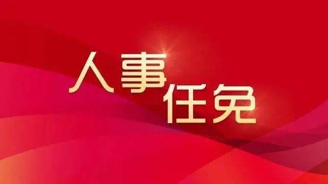 2024年11月29日 第31页